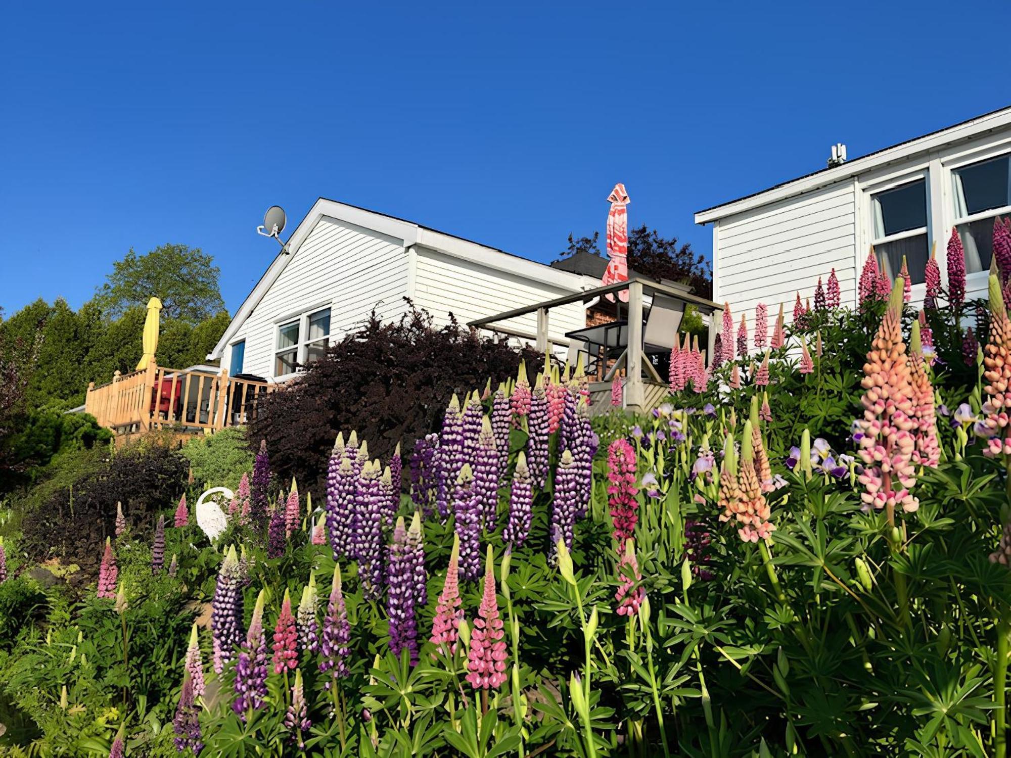 Dewar'S Inn And Cottages Prescott Eksteriør bilde